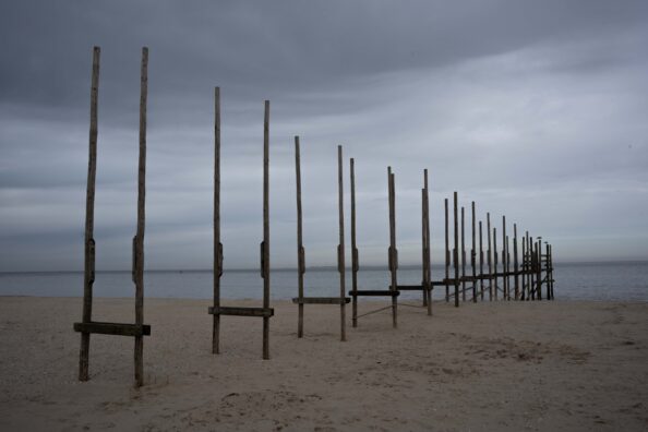 Texel